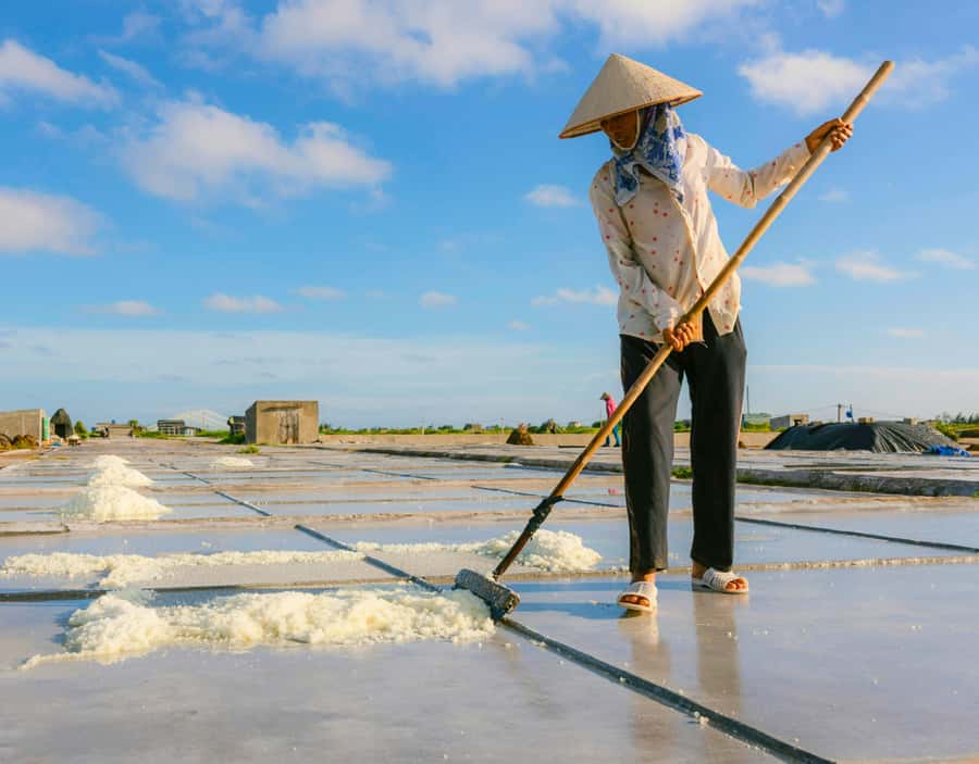 Bangkok: Highlights tour with Grand Palace & Floating Market - Who should book this Bangkok day tour?