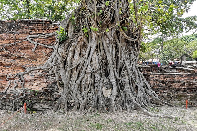 Bangkok: Private Ayutthaya and Bang Pa-In Summer Palace Tour - Is $184.25 a fair price?