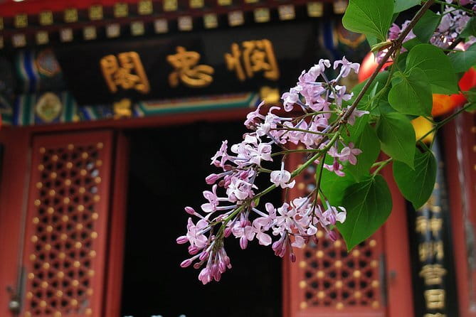 Beijing Forbidden City and Summer Palace Private Guide Tour - The ride to Summer Palace