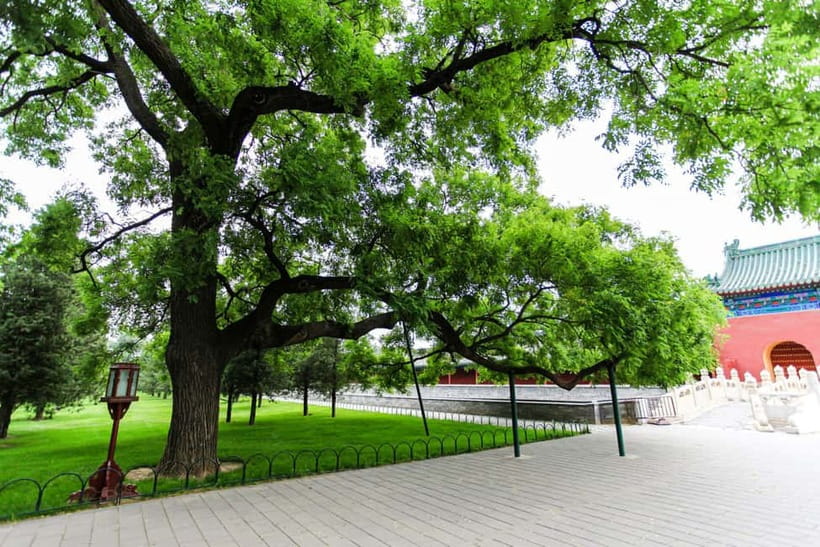 Beijing:Forbidden City Tour—Temple, Summer Palace&Great Wall - Lunch, weather, and the small practical details