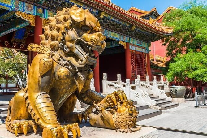 Beijing Private Tour: Forbidden City, Tiananmen & Summer Palace - The Forbidden City: the main event of the morning