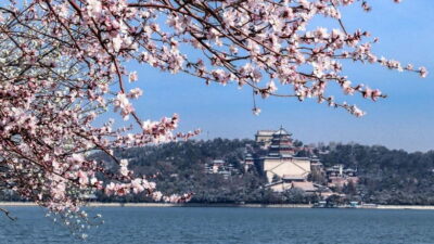 Summer Palace Entry Ticket and Optional Guided Tour