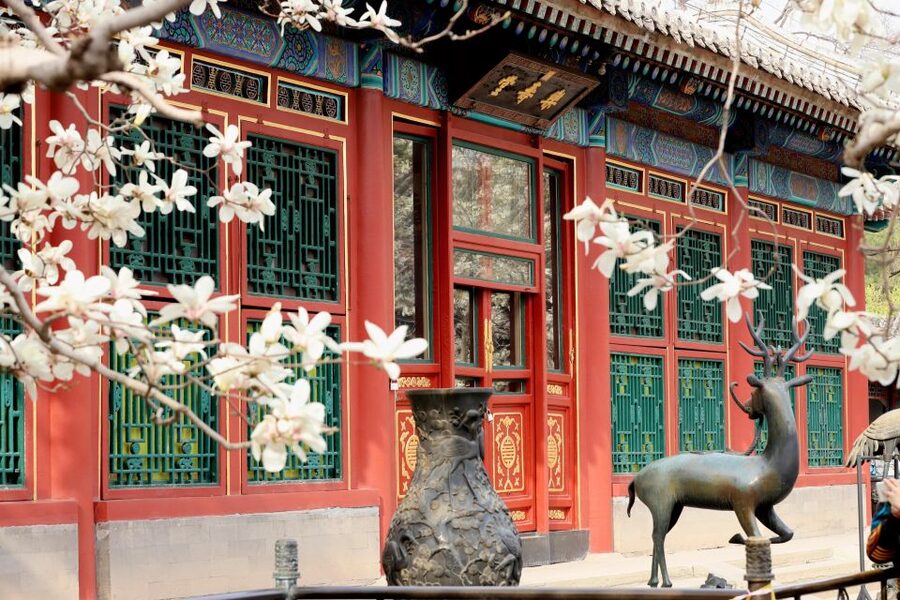 Beijing: Summer Palace, Sacred Road&Ming Tombs Private Tour - Key points to know before booking
