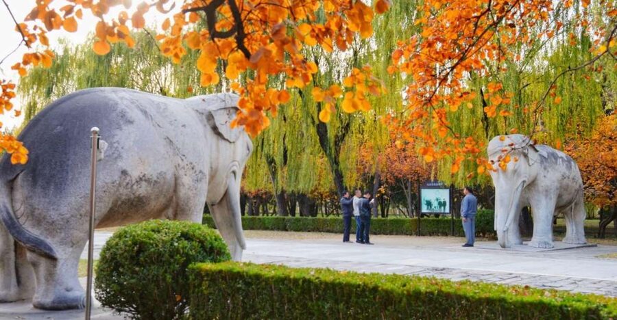 Beijing: Summer Palace, Sacred Road&Ming Tombs Private Tour - Choosing between Dingling and Changling