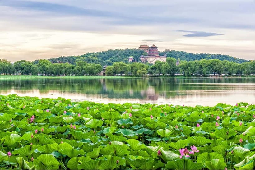 Beijing:Summer Palace & Tea or Calligraphy Experience Tour - Should you book the tea or calligraphy day?