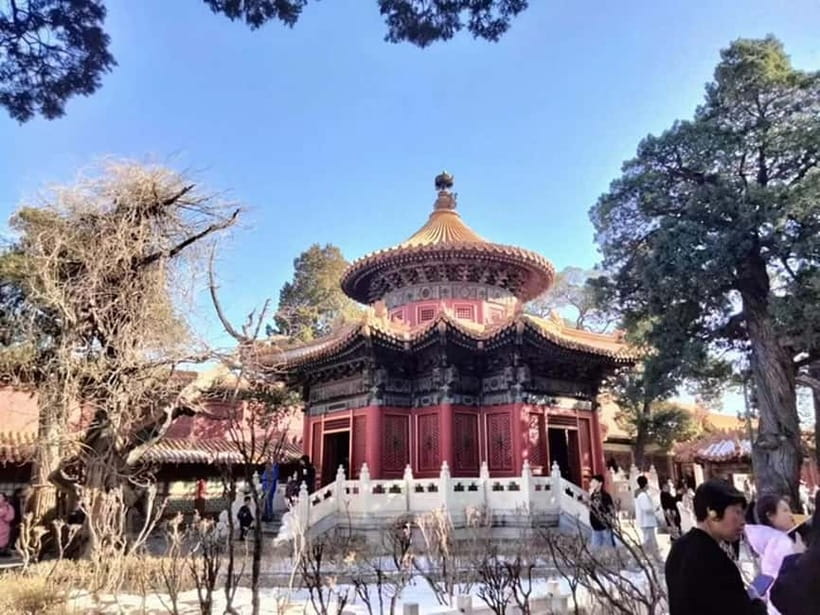 Beijing:Tiananmen&Forbidden City&summer palace etc(optional) - Private tours are better for questions and schedule control