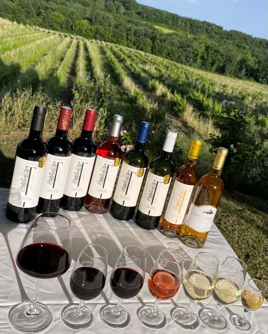 Bergerac: Wine Tasting at Chateau Lestevenie - A View Worth Making Time For