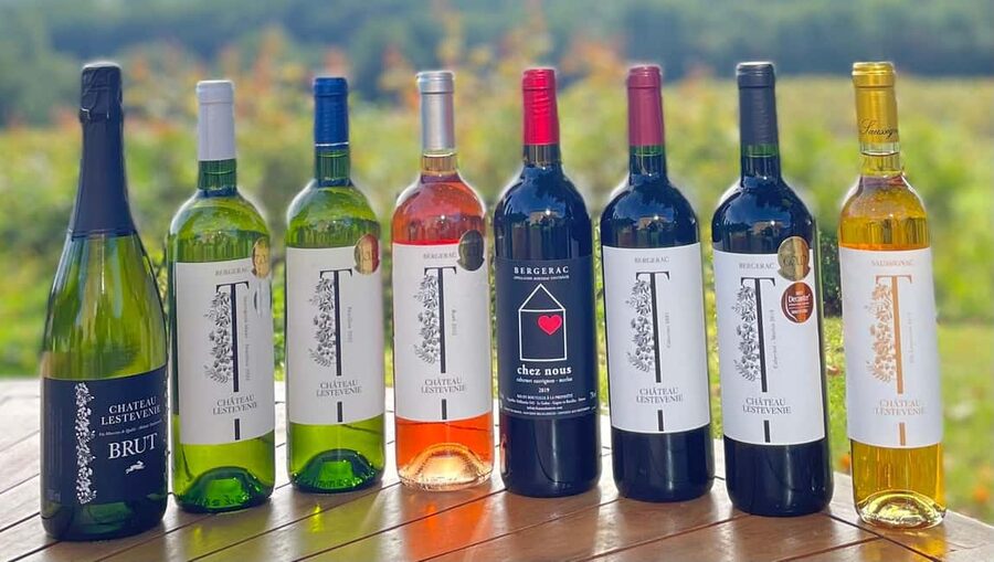Bergerac: Wine Tasting at Chateau Lestevenie - Tasting Six Wines, One Glass at a Time