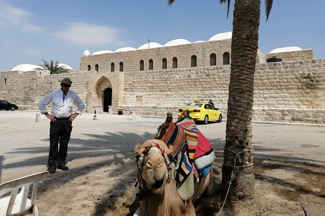 Bethlehem, Jericho, Hisham palace and Qumran Full Day Private Tour - Bethlehem’s old city, art, and Carmelite connections