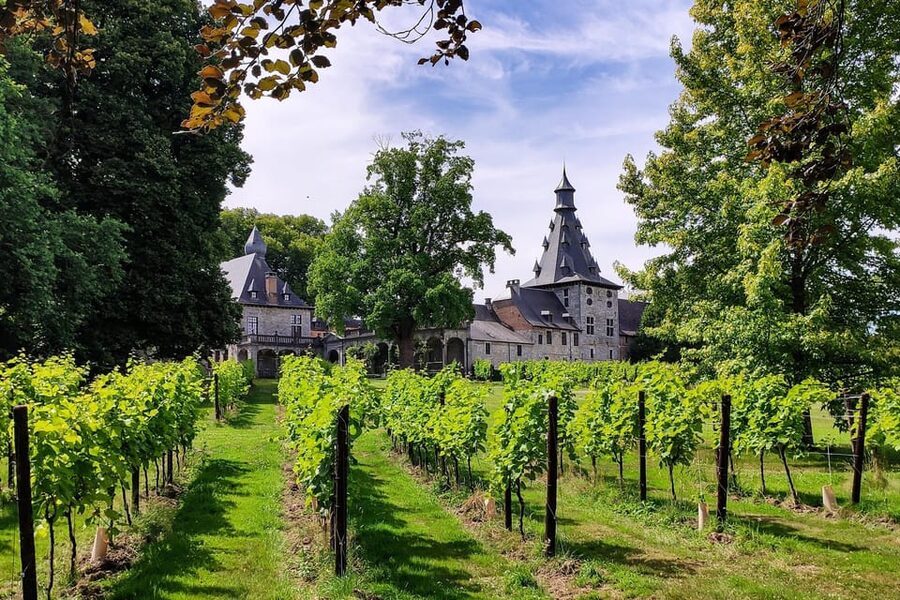 Bioul (near Dinant) : Château de Bioul Tour and Wine Tasting - The Seigneurie of Bioul and the family story