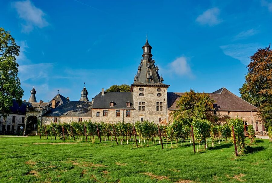 Bioul (near Dinant) : Château de Bioul Tour and Wine Tasting - Through the park and vineyards