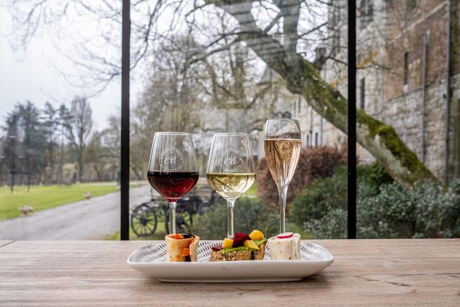 Bioul (near Dinant) : Château de Bioul Tour and Wine Tasting - The tasting of Belgian wines and local products