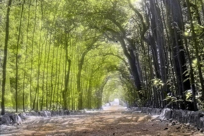 Boboli Gardens: Royal Palace Tour & Hidden Messages - Who will enjoy this tour most