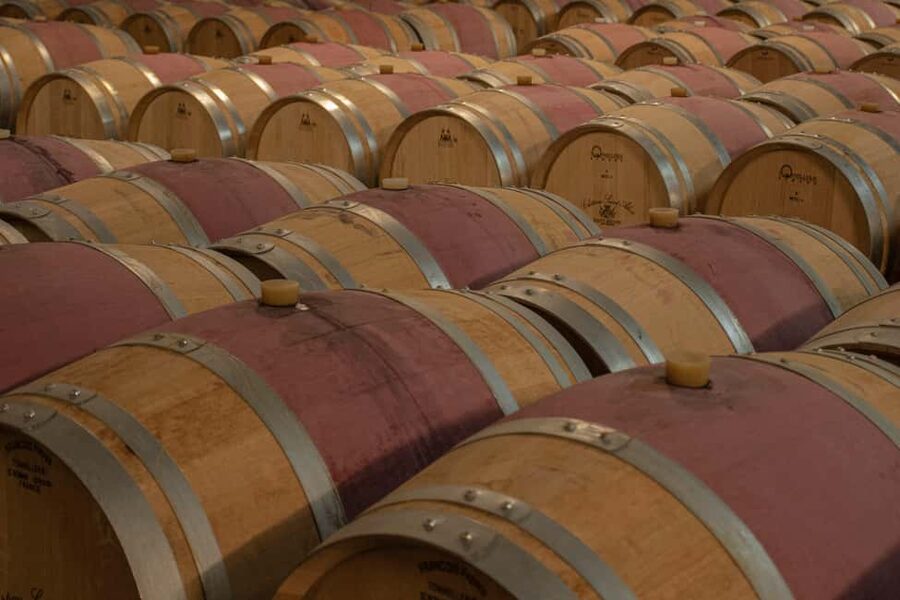 Bordeaux: Château Saint Ahon classic tour - The vineyard: where the explanation begins