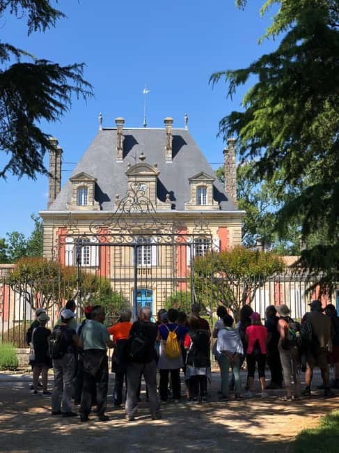 Bordeaux: Château Saint Ahon classic tour - The vinification cellar: turning grapes into wine