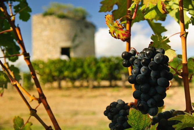 Bordeaux Médoc Region Private Wine Lovers Tour with Chateau Visits & Tastings - Following Bordeaux’s D2 Route des Châteaux