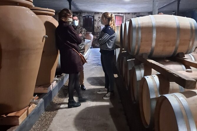 Bordeaux Médoc Region Private Wine Lovers Tour with Chateau Visits & Tastings - Guides who bring the region to life