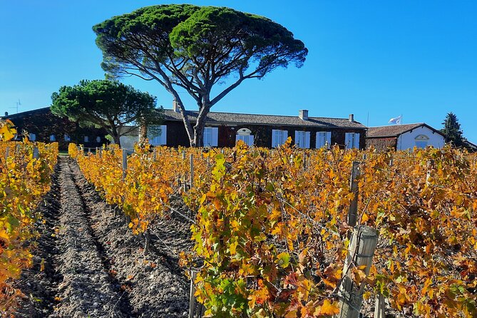 Bordeaux Médoc Region Private Wine Lovers Tour with Chateau Visits & Tastings - Three château visits, three guided tastings