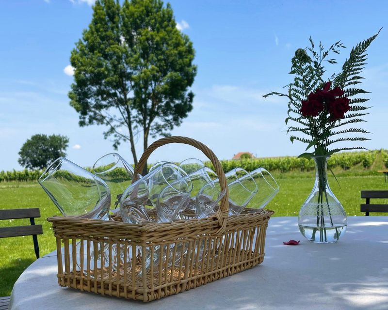 Bordeaux: Saint-Emilion Village Day Trip, 2 Chateaux & Lunch - Two châteaux, including a Great Growth estate