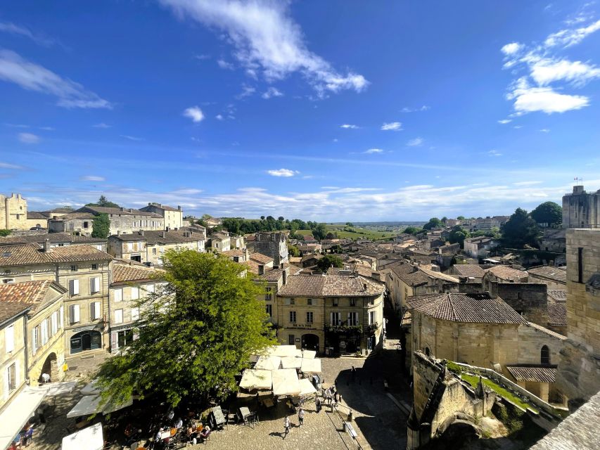 Bordeaux: Saint-Emilion Village Day Trip, 2 Chateaux & Lunch - A picnic lunch among the vineyards