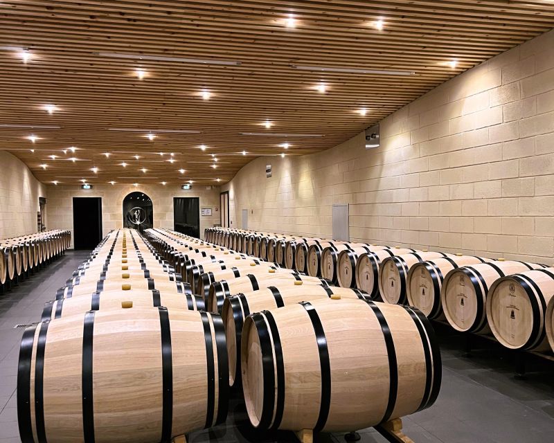 Bordeaux: Saint-Emilion Village Day Trip, 2 Chateaux & Lunch - Who should book this outing?