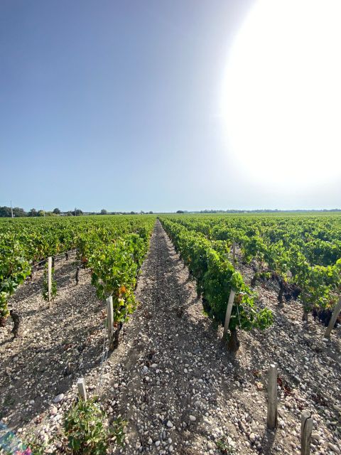 Bordeaux: Saint Emilion Village with Chateaus & Wine Tasting - Leaving Bordeaux for Saint-Émilion