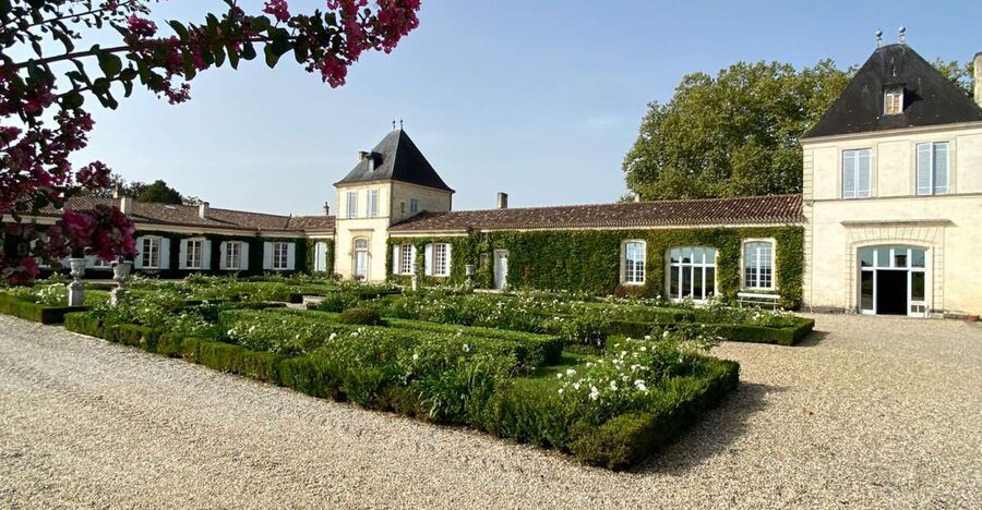 Bordeaux: Saint Emilion Village with Chateaus & Wine Tasting - Walking through a working vineyard