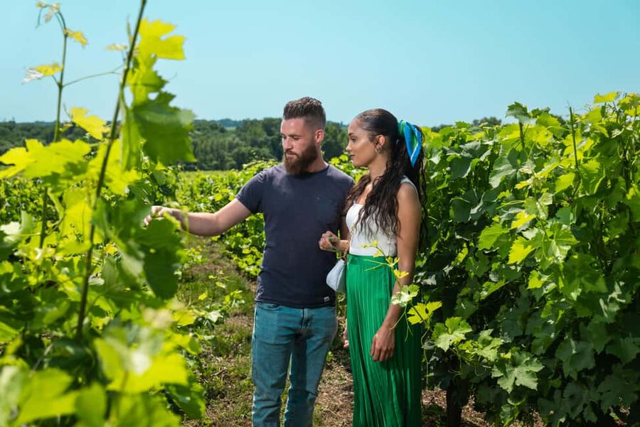 Bordeaux: Visit to Château de Reignac and prestige tasting - Who will enjoy this Reignac experience?