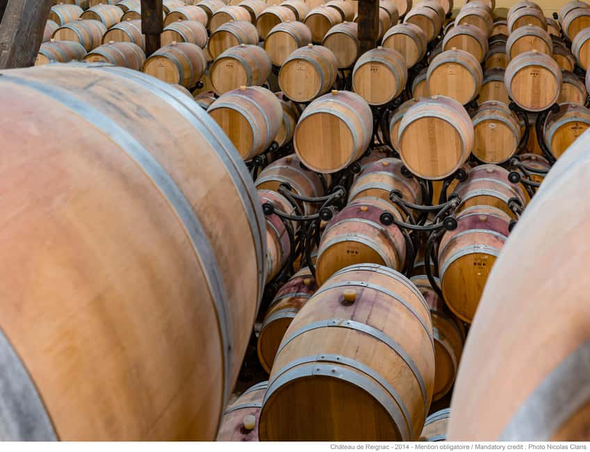 Bordeaux: Visit to Château de Reignac and prestige tasting - Walking the grounds and the Eiffel greenhouse