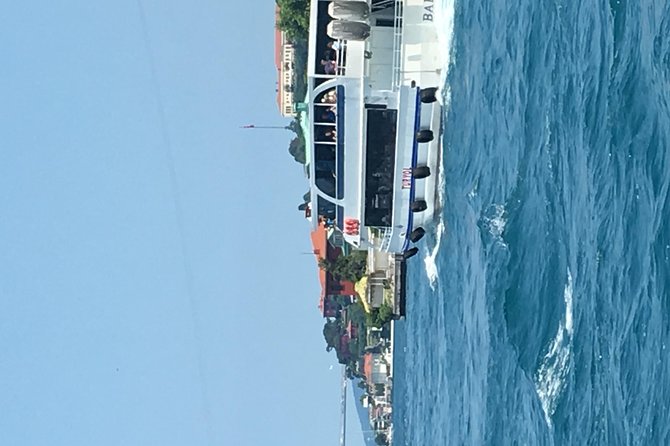 Bosphorus Cruise With Dolmabahçe Palace and Fortresses - Why Dolmabahçe makes a strong first stop