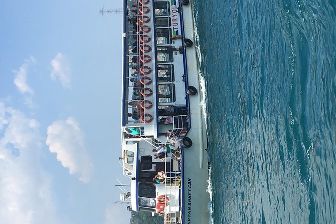 Bosphorus Cruise With Dolmabahçe Palace and Fortresses - A private route with room for changes