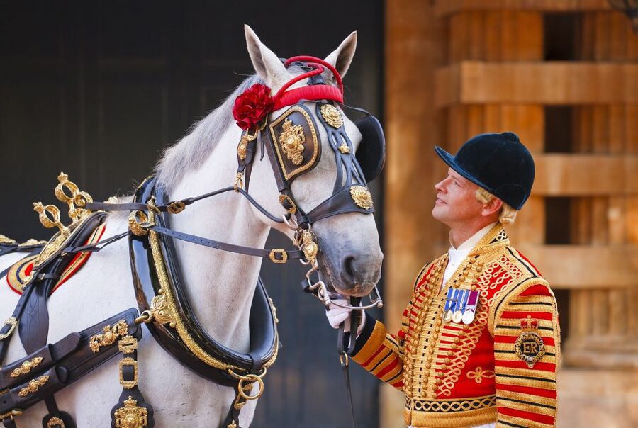 Buckingham Palace: The Royal Mews Entrance Ticket - Key points to know before you go