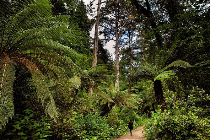Bussaco Palace, Gardens & Forest | Private Tour - Is $134.07 per person good value?