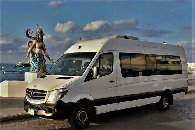 Cancun Airport and Riu Palace Peninsula Private Shuttle - Why a private ride helps at Cancun Airport