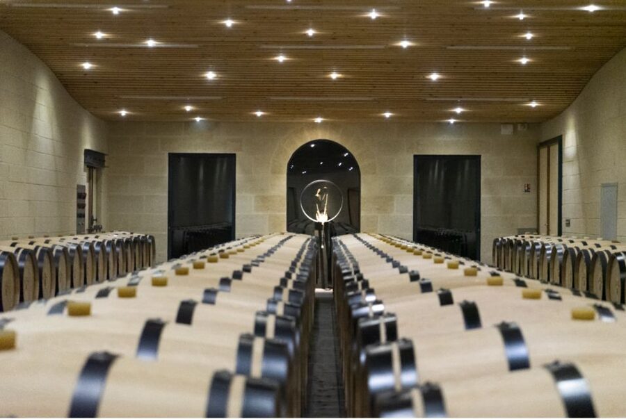 Château Balestard La Tonnelle : The "Origins" tour - Reading the limestone plateau through the vines