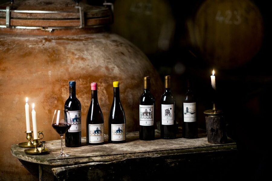 Château de Luc: Unique visit and wine tasting - Key points to know before you go