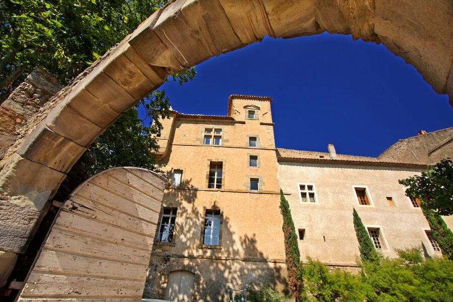 Château de Luc: Unique visit and wine tasting - Tasting organic wines in the former stable