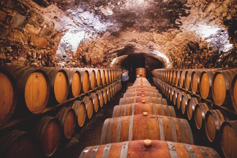 Château de Luc: Unique visit and wine tasting - What makes the $15 price worthwhile