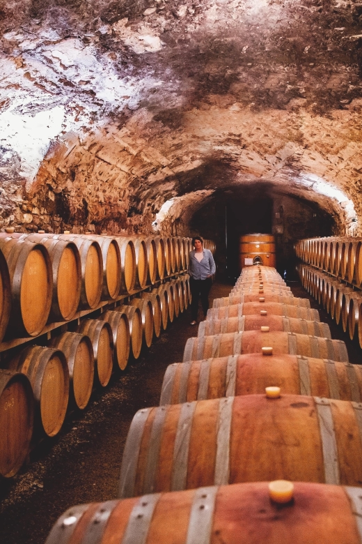 Château de Luc: Unique visit and wine tasting - How personal the visit can feel