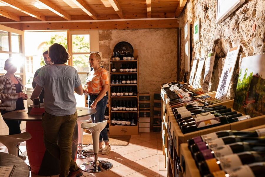 Château de Luc: Unique visit and wine tasting - Should you book Château de Luc?