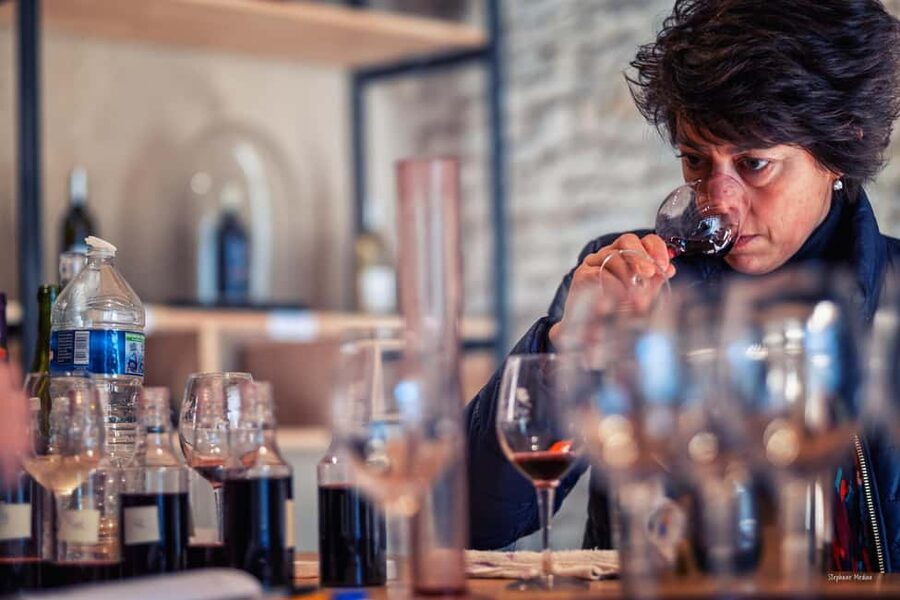 Château de Terride: tour of the wine cellar & wine tasting - Key points to know before you go