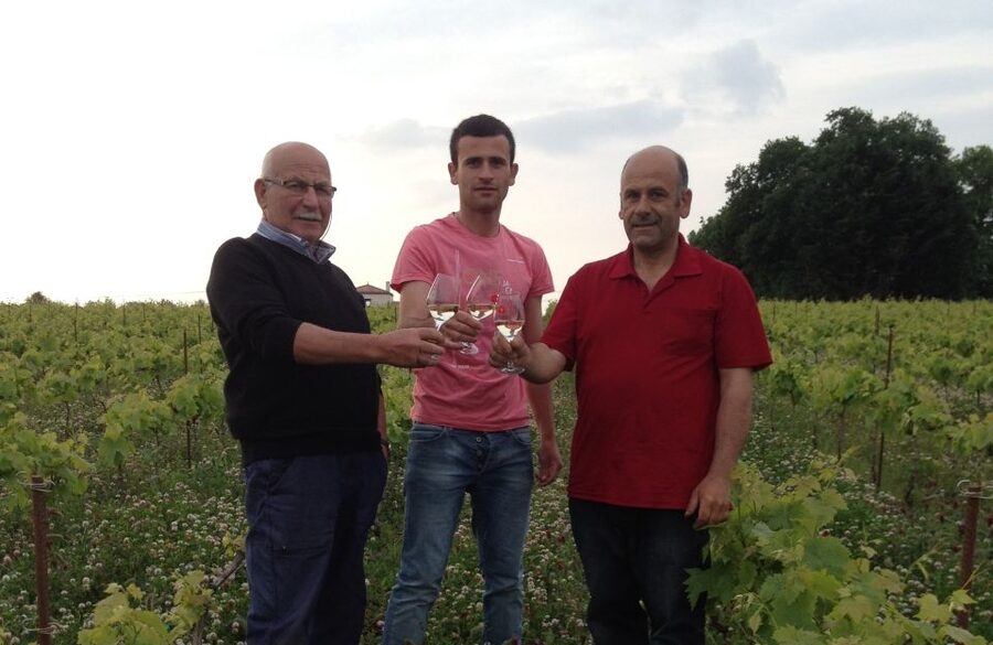 Château du Bois-Huaut: Cellar Tour and Wine Tasting Class - See how the cellar fits the story