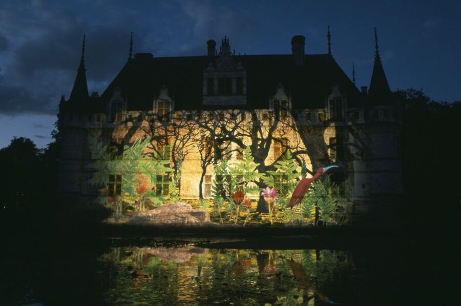 Château of Azay-le-Rideau Entry Ticket - Why Azay-le-Rideau feels different from other Loire châteaux