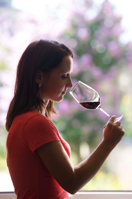 Château Olivier: One Hour Vineyard Tour with Wine Tasting - Key points to know before you book