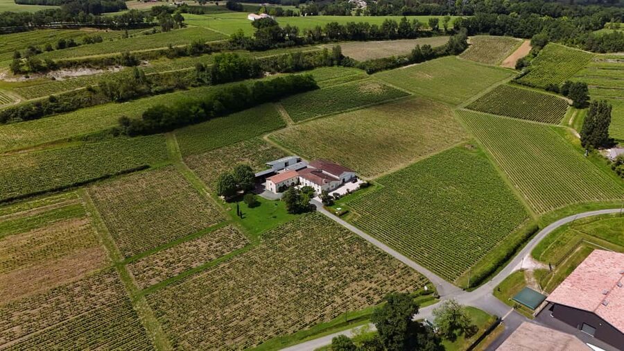Château Petit Mangot's aperitif: charcuterie, cheeses, and wines - Walking through the vines and the Décamps family story