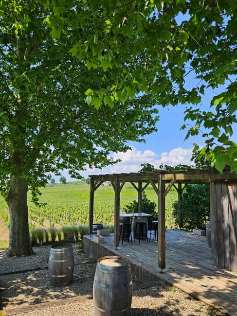Château Petit Mangot's aperitif: charcuterie, cheeses, and wines - Inside the cellar, from grape to red wine