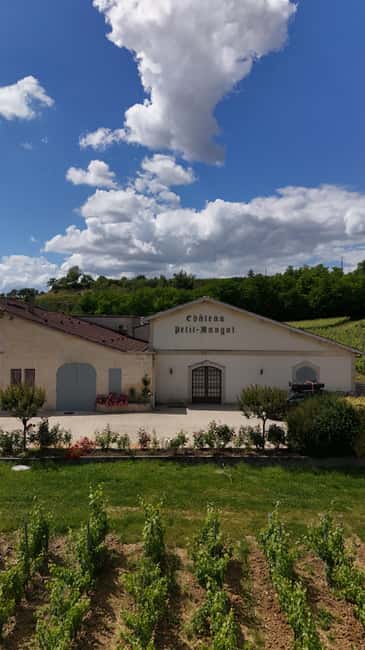 Château Petit Mangot's aperitif: charcuterie, cheeses, and wines - The private terrace and the 360-degree view