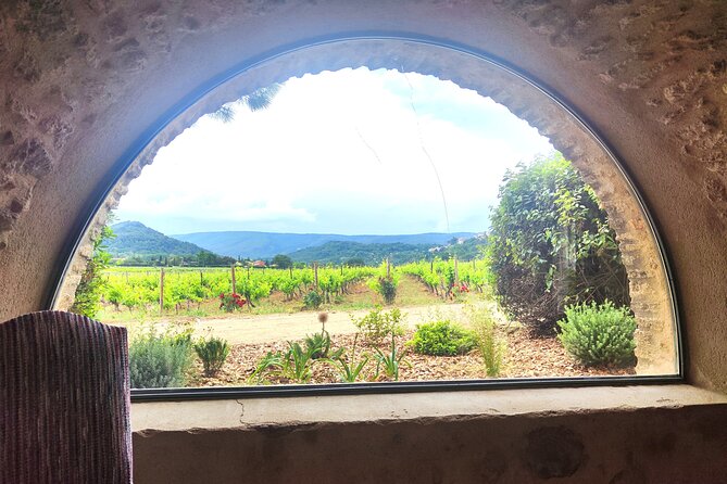 Chateauneuf du Pape and Luberon vineyard tour from Avignon - Two Provence wine regions, not just one tasting room