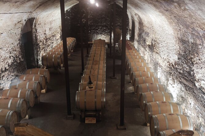 Chateauneuf du Pape and Luberon vineyard tour from Avignon - Who will get the most from this day