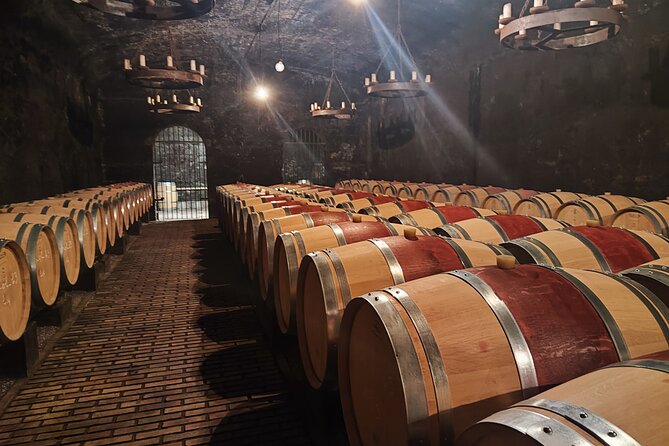 Chateauneuf du Pape and Luberon vineyard tour from Avignon - Lunch in a Luberon village you help choose